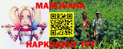 прущие крисы Аргун